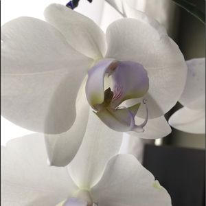 Meet your Posher, Miki